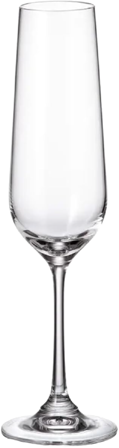 Crane Crystal Bistro champagne glasses
